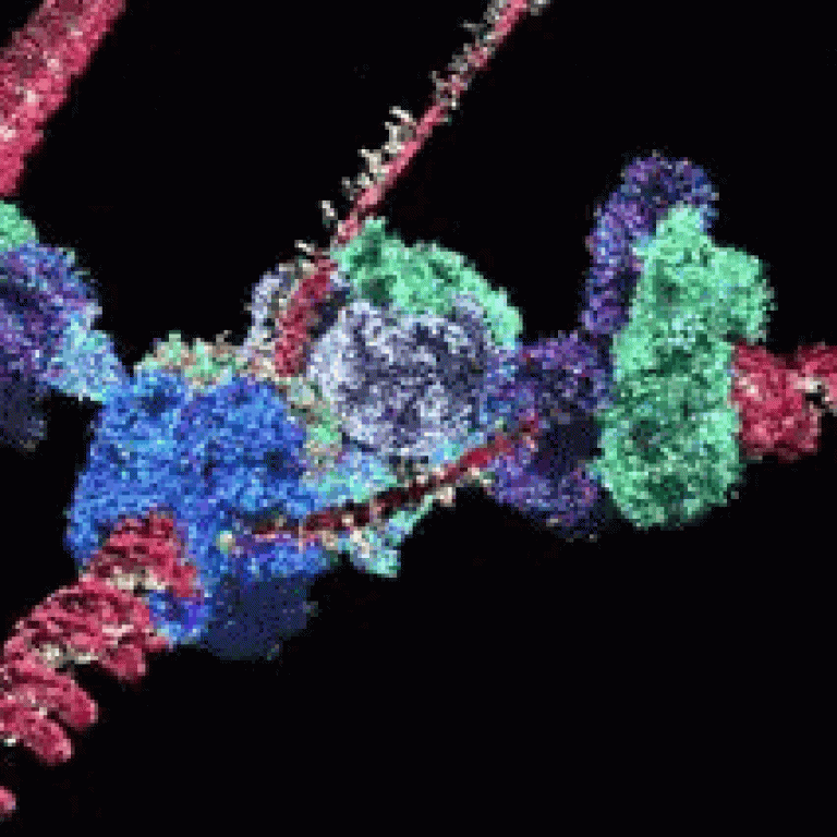 dna-